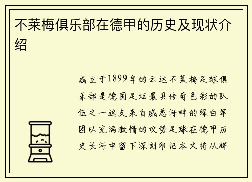 不莱梅俱乐部在德甲的历史及现状介绍